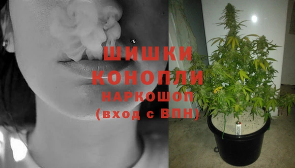 спайс Богородск