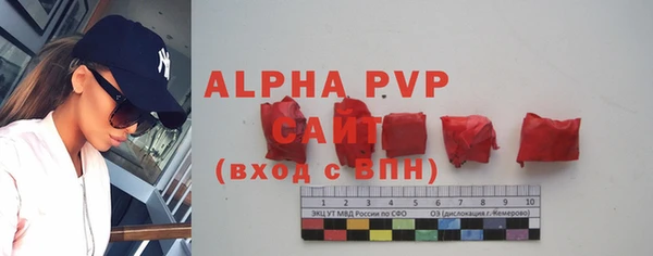 apvp Богородицк