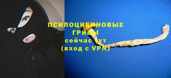 apvp Богородицк