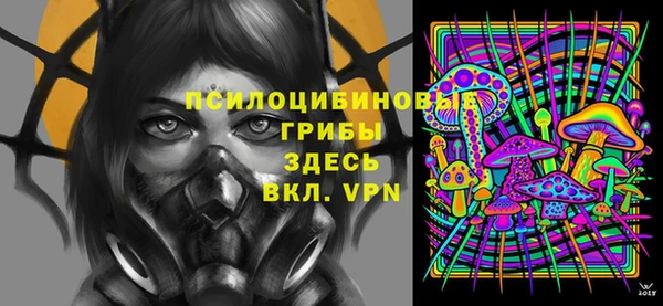 спайс Богородск