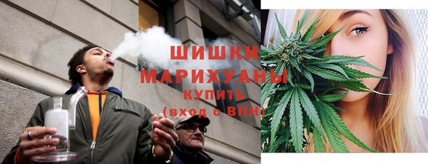 apvp Богородицк