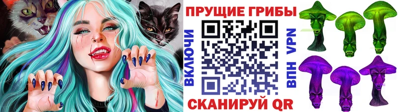 Псилоцибиновые грибы Magic Shrooms  наркошоп  Реутов 